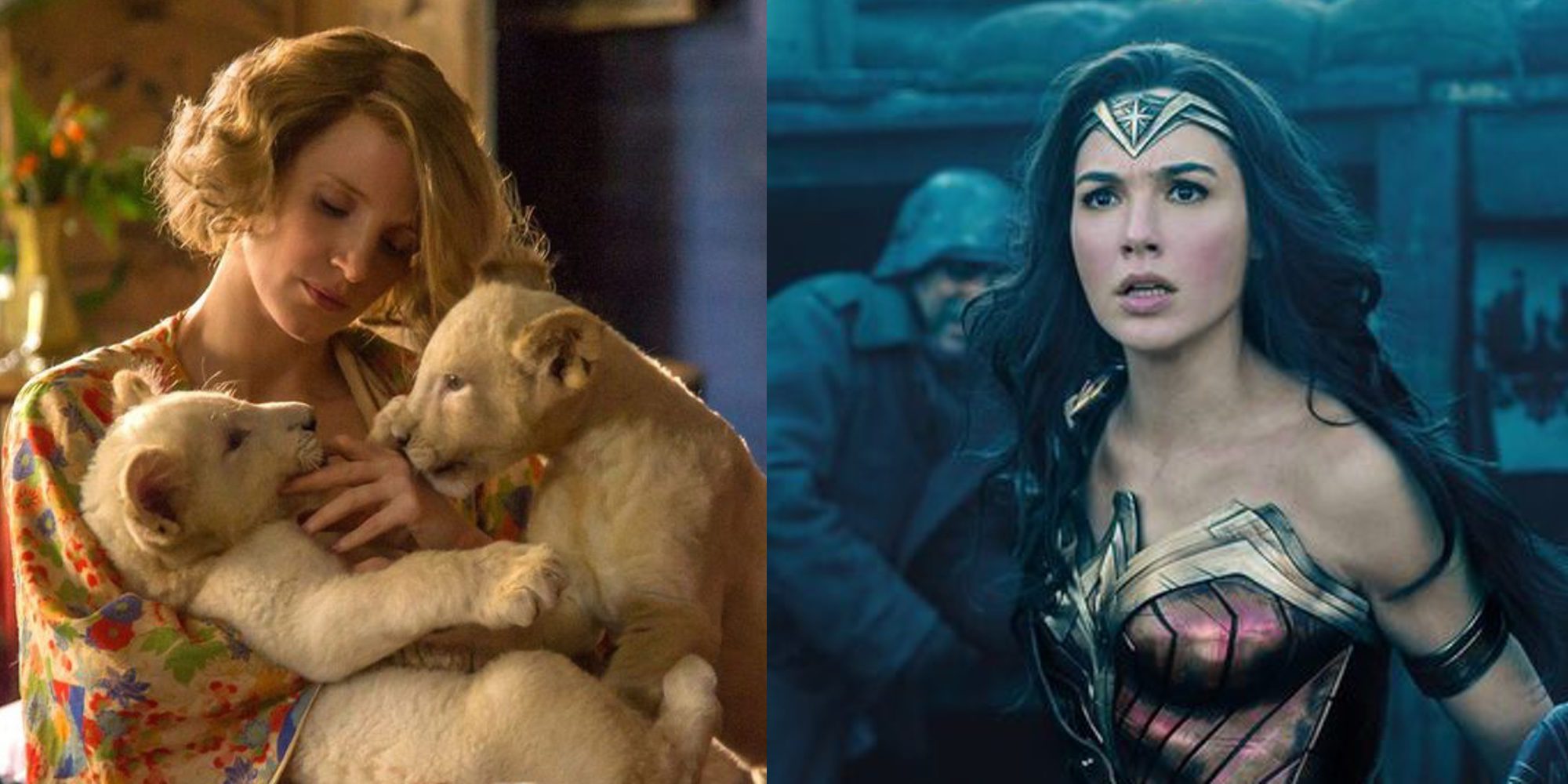 Disfruta de los estrenos de la semana de la mano de 'Wonder Woman' o 'La Casa de la Esperanza'