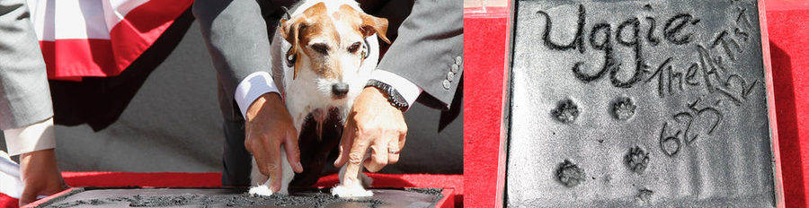 Uggie, el perro de 'The Artist', plasma sus huellas en el Teatro Chino de Los Ángeles