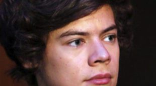 La madre de Harry Styles usa la fama de su hijo como One Direction para vender su coche