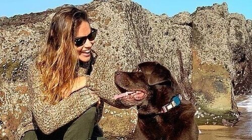 Muere Choco, el adorable perro de Lara Álvarez del que tanto ha presumido y al que tanto ha querido