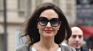 Angelina Jolie interpone una demanda a Brad Pitt de 250 millones de euros por la gestión de su negocio