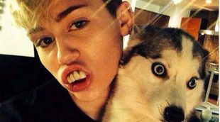 Miley Cyrus se divierte junto a sus perros