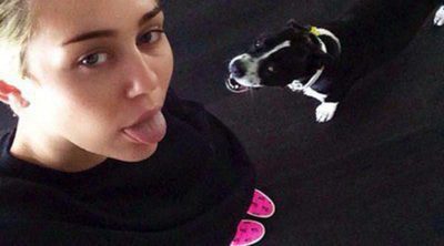 Miley Cyrus se tapa con una sábana y comparte la cama con su perro