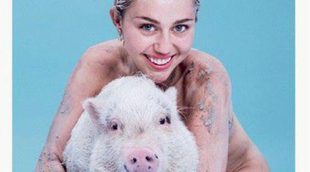 Desnudo de portada: el posado más ligerito de Miley Cyrus junto a un cerdo