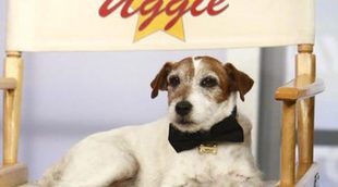 Muere Uggie, el perro de 'The Artist', a los 13 años