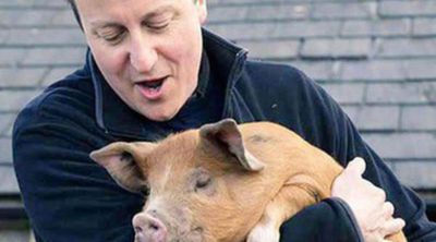 Memes y mucho humor por el escándalo sexual de David Cameron con un cerdo