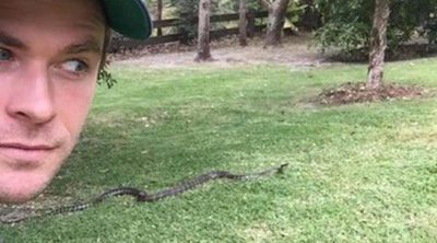 Chris Hemsworth estrena Instagram imitando el selfie de Elsa Pataky con una serpiente