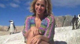Shakira sufre el ataque de un león marino: 