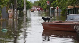 Héroe: Un hombre salva de morir ahogados a una mujer y su perro en las inundaciones de Luisiana