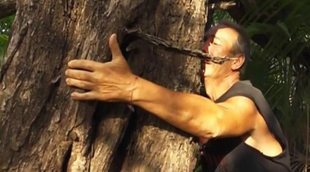 El Maestro Joao se 'reconcilia' con árbol que le lesionó en 'SV 2018': 
