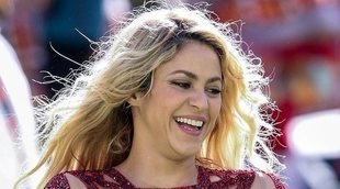 Shakira y Daniela Ospina apoyan a la Selección de Colombia en el Mundial de Rusia 2018