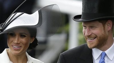 El Príncipe Harry y Meghan Markle reciben a un nuevo miembro en la familia