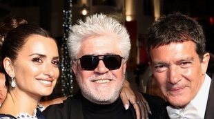 Almodóvar, Banderas y Penélope Cruz comparten protagonismo en Cannes con Bella Hadid y Amber Heard
