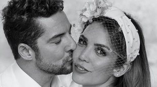 David Bisbal y Rosanna Zanetti celebran su primer año casados: 
