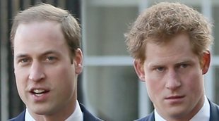 Los problemas entre el Príncipe Guillermo y el Príncipe Harry que no logran superar
