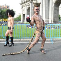 Hombre semidesnudo disfrazado de leopardo en el Orgullo Gay de Madrid