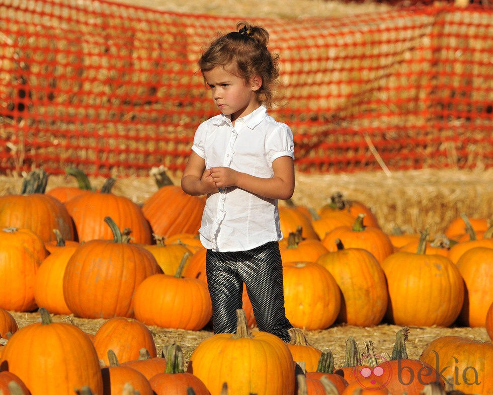 Honor, hija de Jessica Alba, con las calabazas en el Pumpkins Patch de Los Angeles