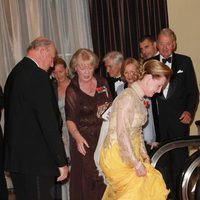 Harald de Noruega pisa el vestido de la Reina Sonia en los 100 años de la Fundación Américo-Escandinava