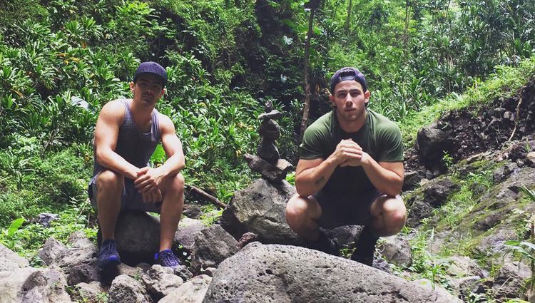 Joe y Nick Jonas de vacaciones en Hawaii