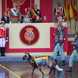 Los Reyes Felipe y Letizia, la Princesa Leonor y la Infanta Sofía sonríen al ver a la cabra de la Legión en el Día de la Hispanidad 2016