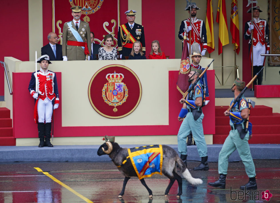 Los Reyes Felipe y Letizia, la Princesa Leonor y la Infanta Sofía sonríen al ver a la cabra de la Legión en el Día de la Hispanidad 2016