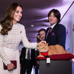 Kate Middleton acaricia al gato bob en el estreno de 'A street cat named Bob'