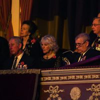 La Princesa Ana, el Príncipe Carlos, Camilla Parker y el Duque de York en el Festival del Recuerdo 2016