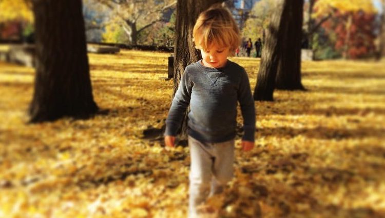Otis, hijo de Olivia Wilde, pasea entre las hojas