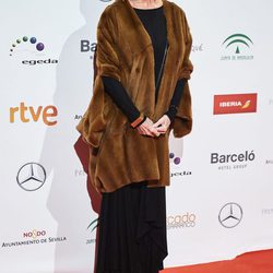 Verónica Forqué en la entrega de los Premios Forqué 2017