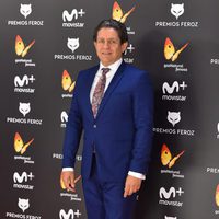 Pedro Casablanc en la alfombra roja de los Premios Feroz 2017