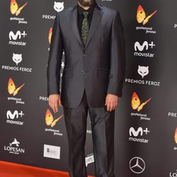 Manolo Solo en la alfombra roja de los Premios Feroz 2017