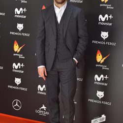 Ricardo Gómez en la alfombra roja de los Premios Feroz 2017