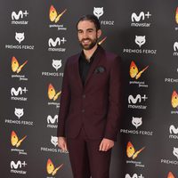 John Plazaola en la alfombra roja de los Premios Feroz 2017