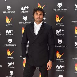 Álex García en la alfombra roja de los Premios Feroz 2017