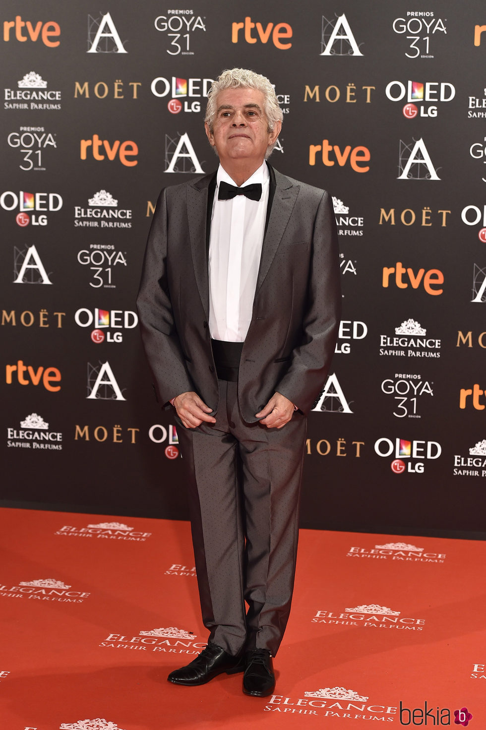 Guillermo Montesinos en la alfombra roja de los Premios Goya 2017