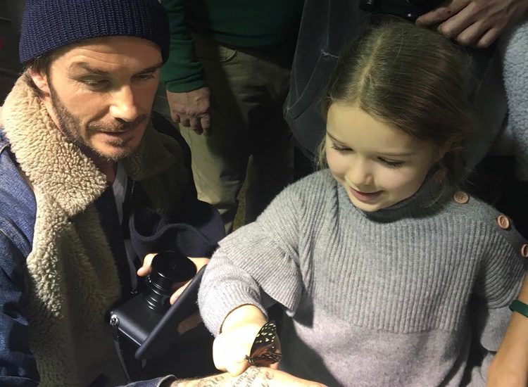 David Beckham y Harper Seven se divierten en el Museo de Historia Natural de Nueva York