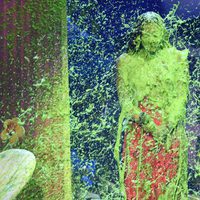 Demi Lovato cubierta de moco verde en los Nickelodeon Kids' Choice Awards 2017