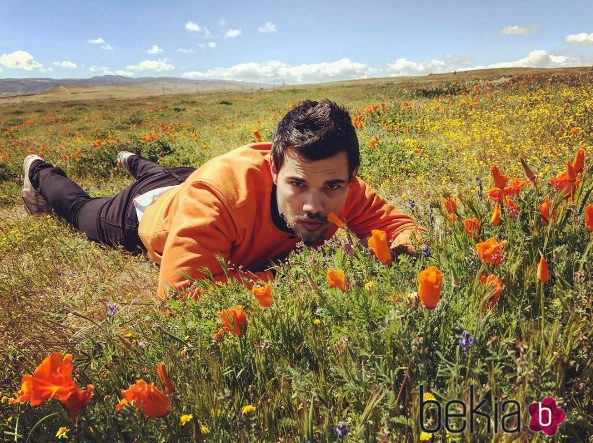 Taylor Lautner rodeado de amapolas