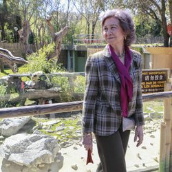 La Reina Sofía visita por primera vez a la panda Chulina en el Zoo de Madrid