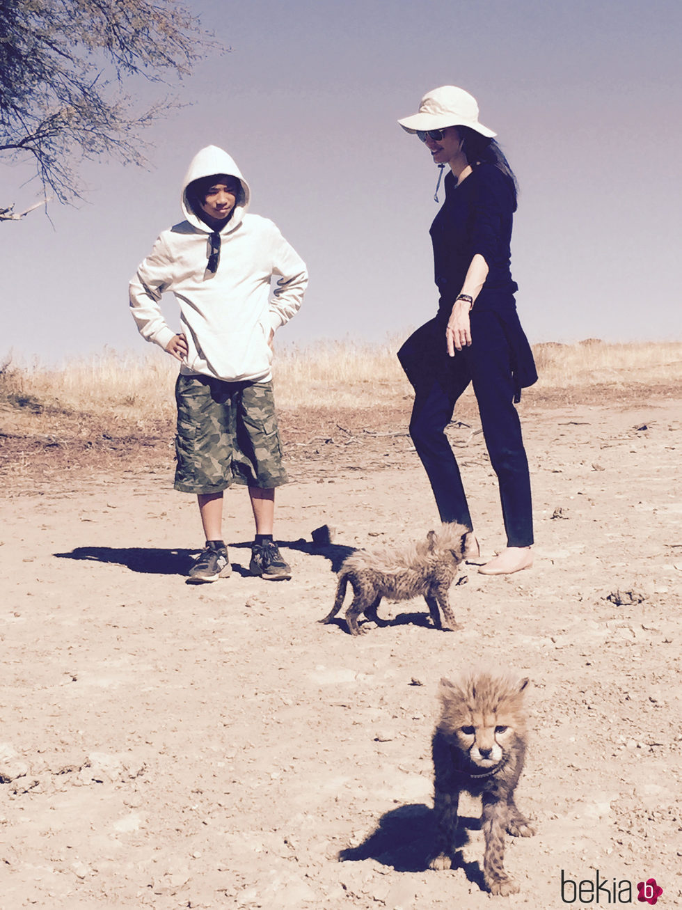 Angelina Jolie, muy feliz inaugura un santuario de animales en Namibia