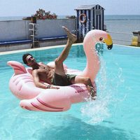Beltrán Lozano en bañador con un flamenco rosa en la piscina