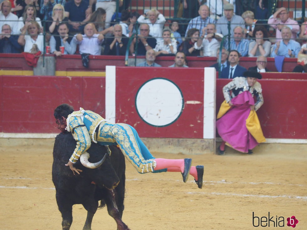 El torero Cayetano Rivera herido en las fiestas del Pilar en Zaragoza