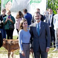 Los Reyes Felipe y Letizia nombran a Poreñu Pueblo Ejemplar de Asturias 2017