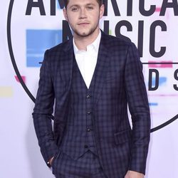 Niall Horan en los American Music Awards 2017