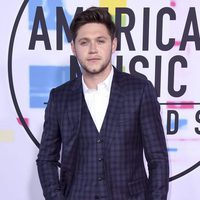 Niall Horan en los American Music Awards 2017