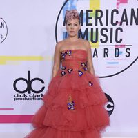 Pink en los American Music Awards 2017