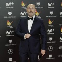 Javier Cámara en la alfombra roja de los Premios Feroz 2018