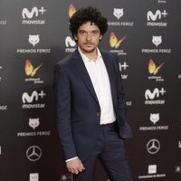 Pablo Molinero en la alfombra roja de los Premios Feroz 2018