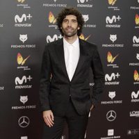 Tamar Novas en la alfombra roja de los Premios Feroz 2018