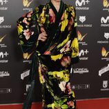 Rossy de Palma en la alfombra roja de los Premios Feroz 2018